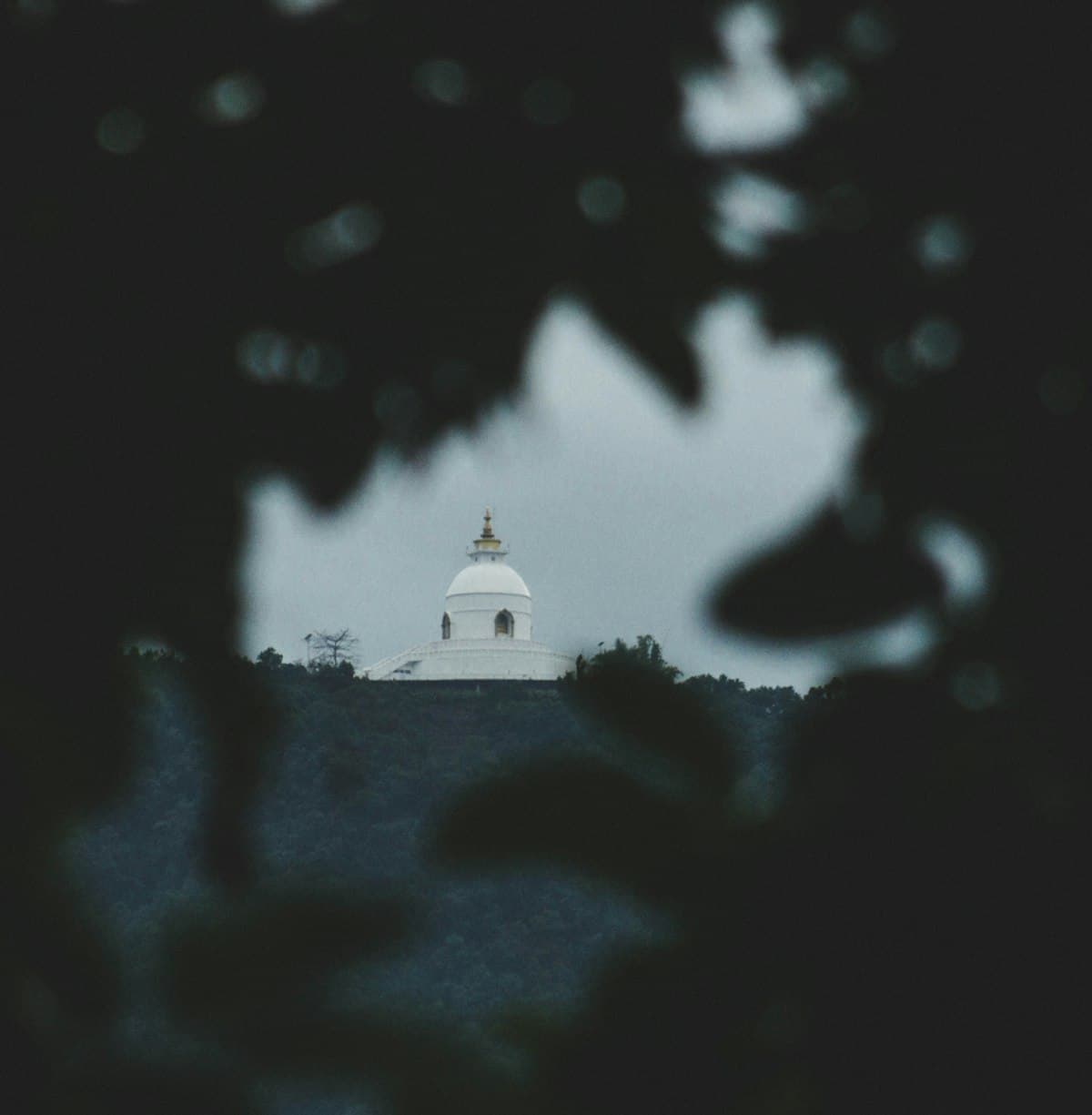 World Peace Pagoda Hike