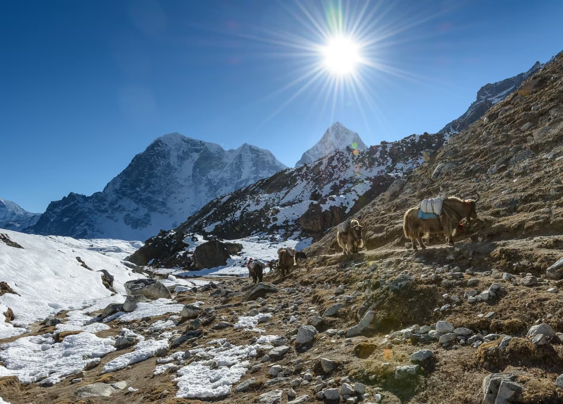 Everest Base Camp