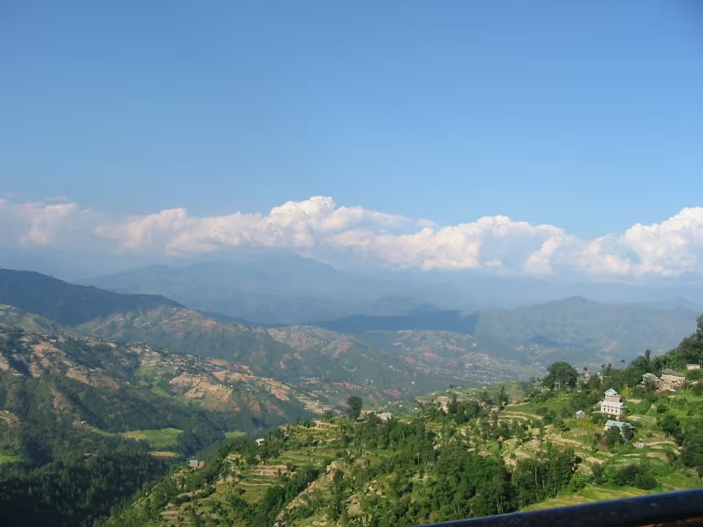 View