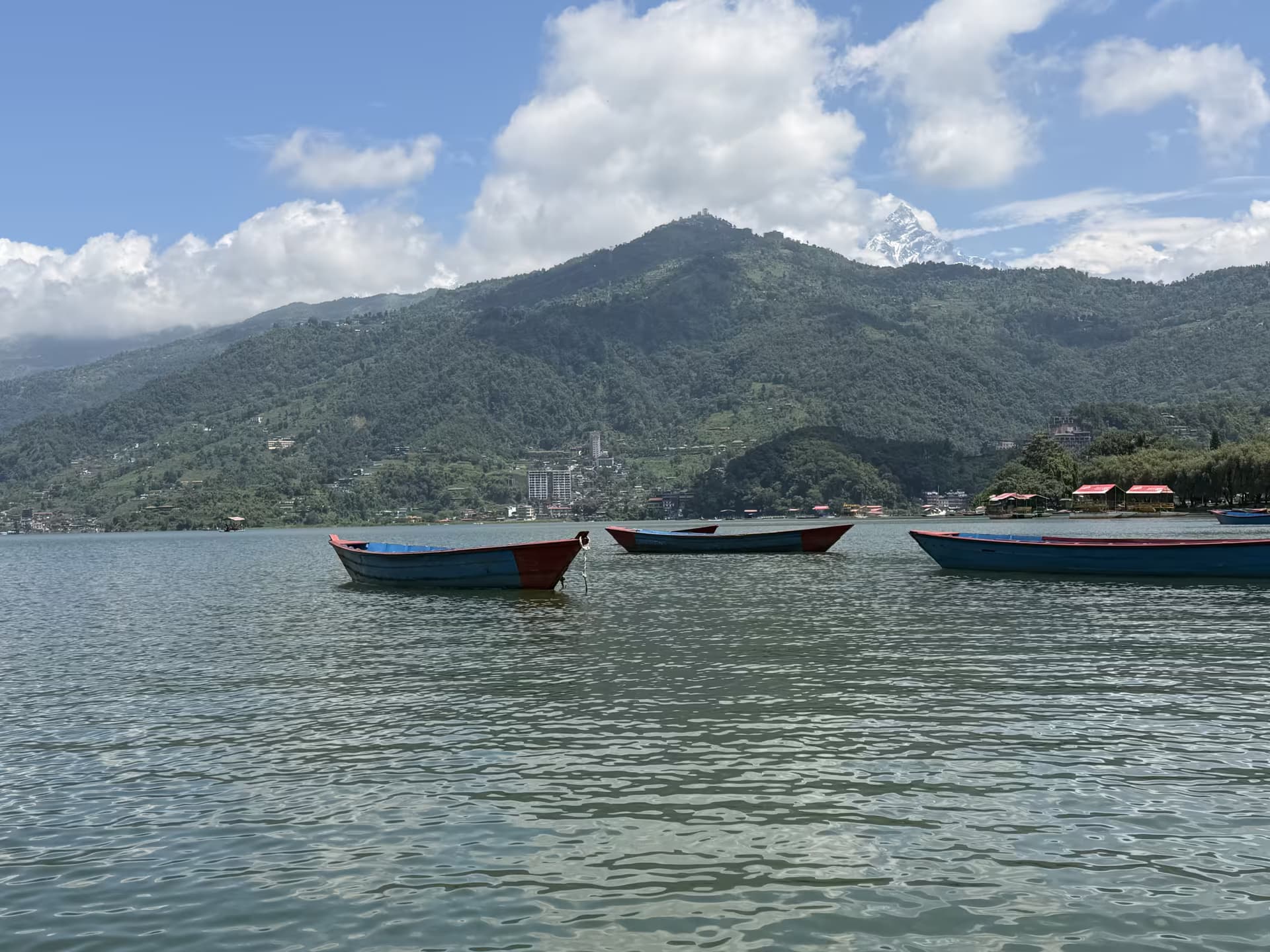 Colourful rowboats on Phewa Lake below the Machhapuchhre peak