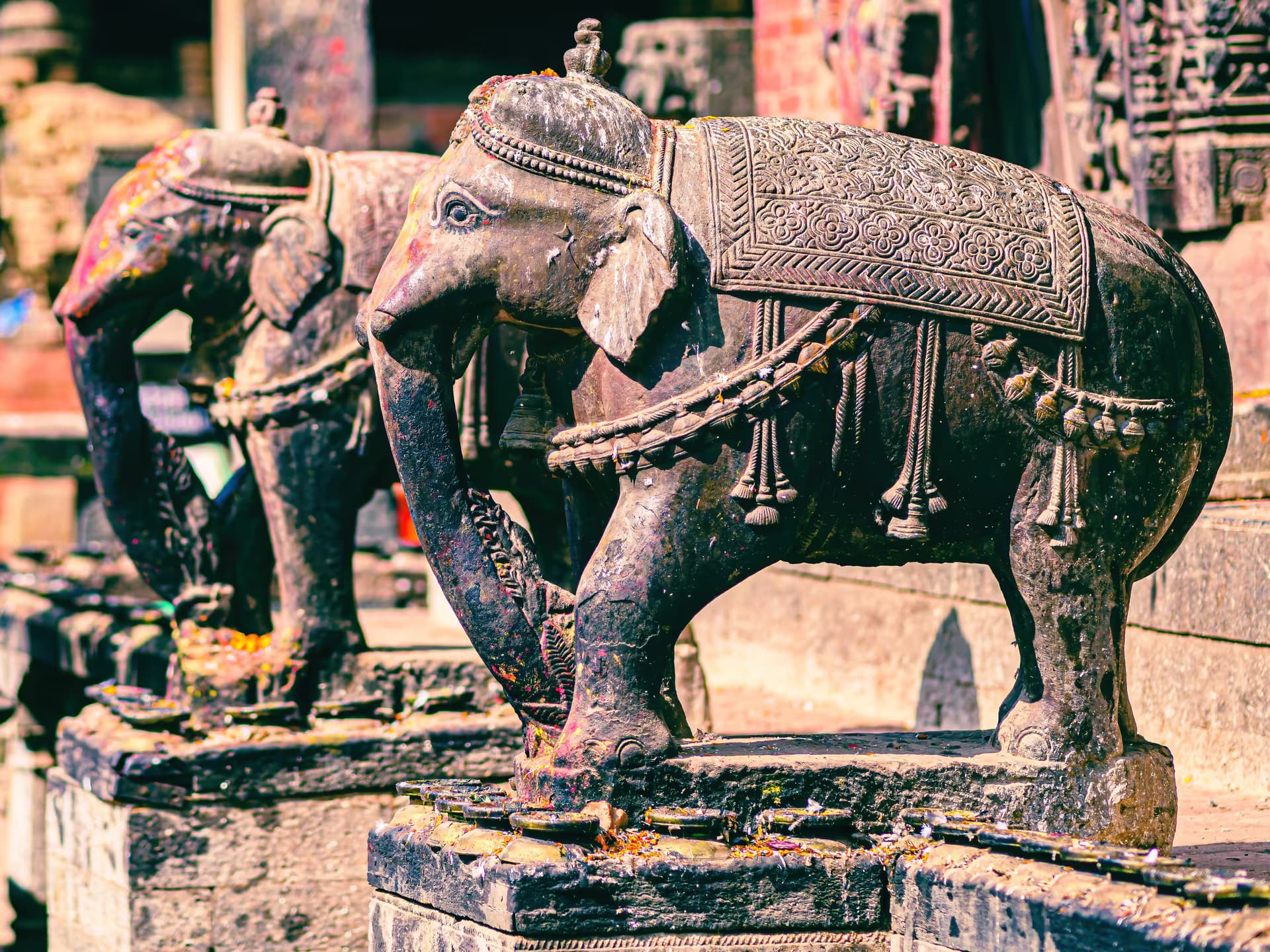 Elephant