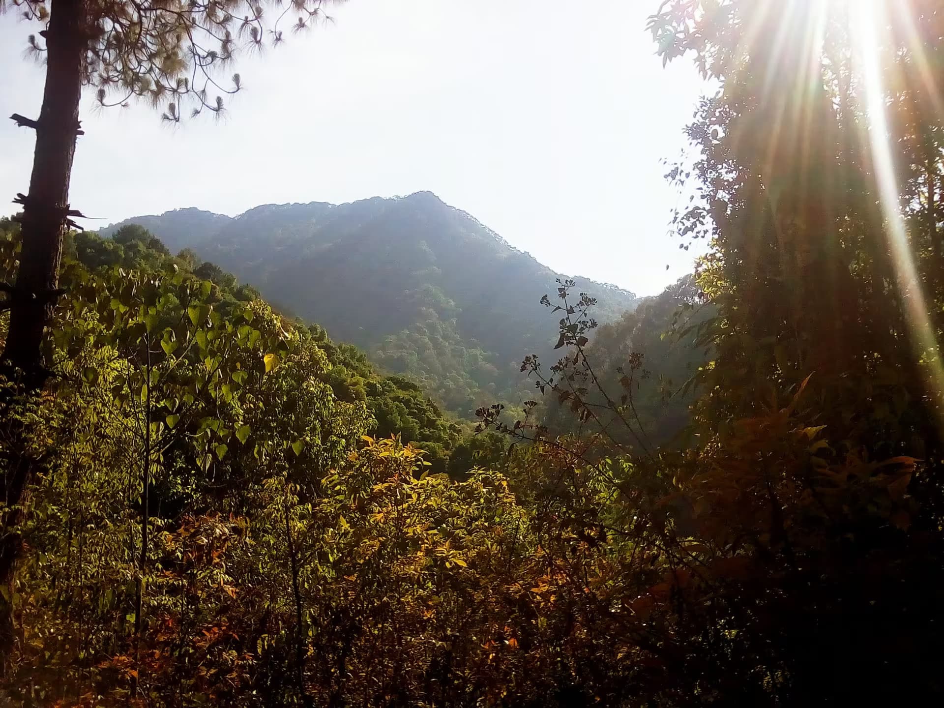 Shivapuri Nagarjun National Park