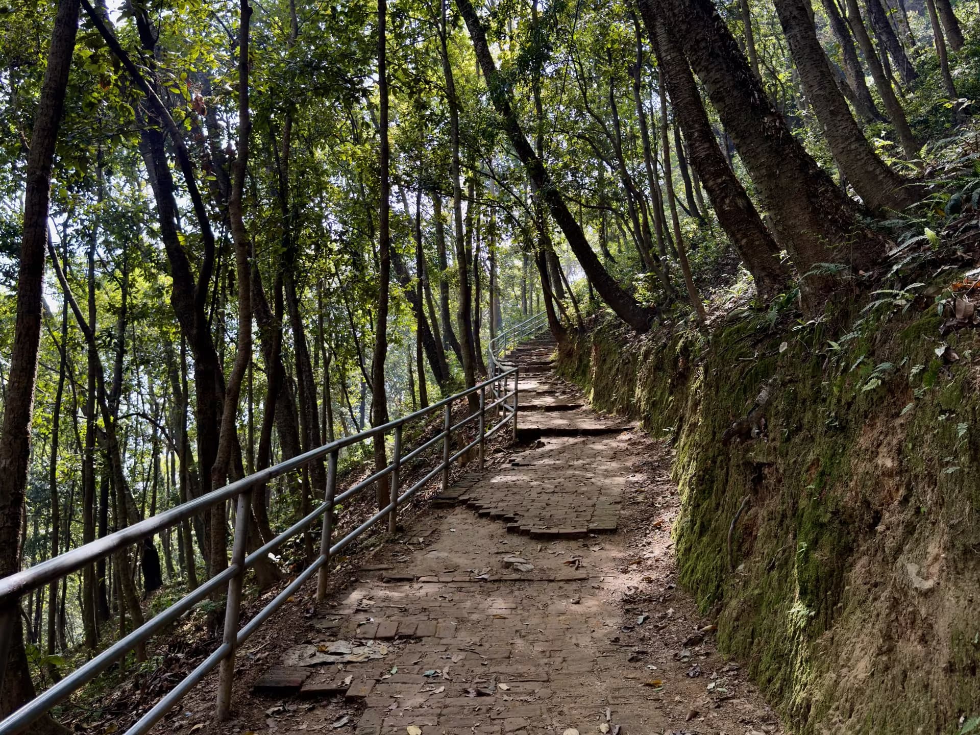Champadevi Hill