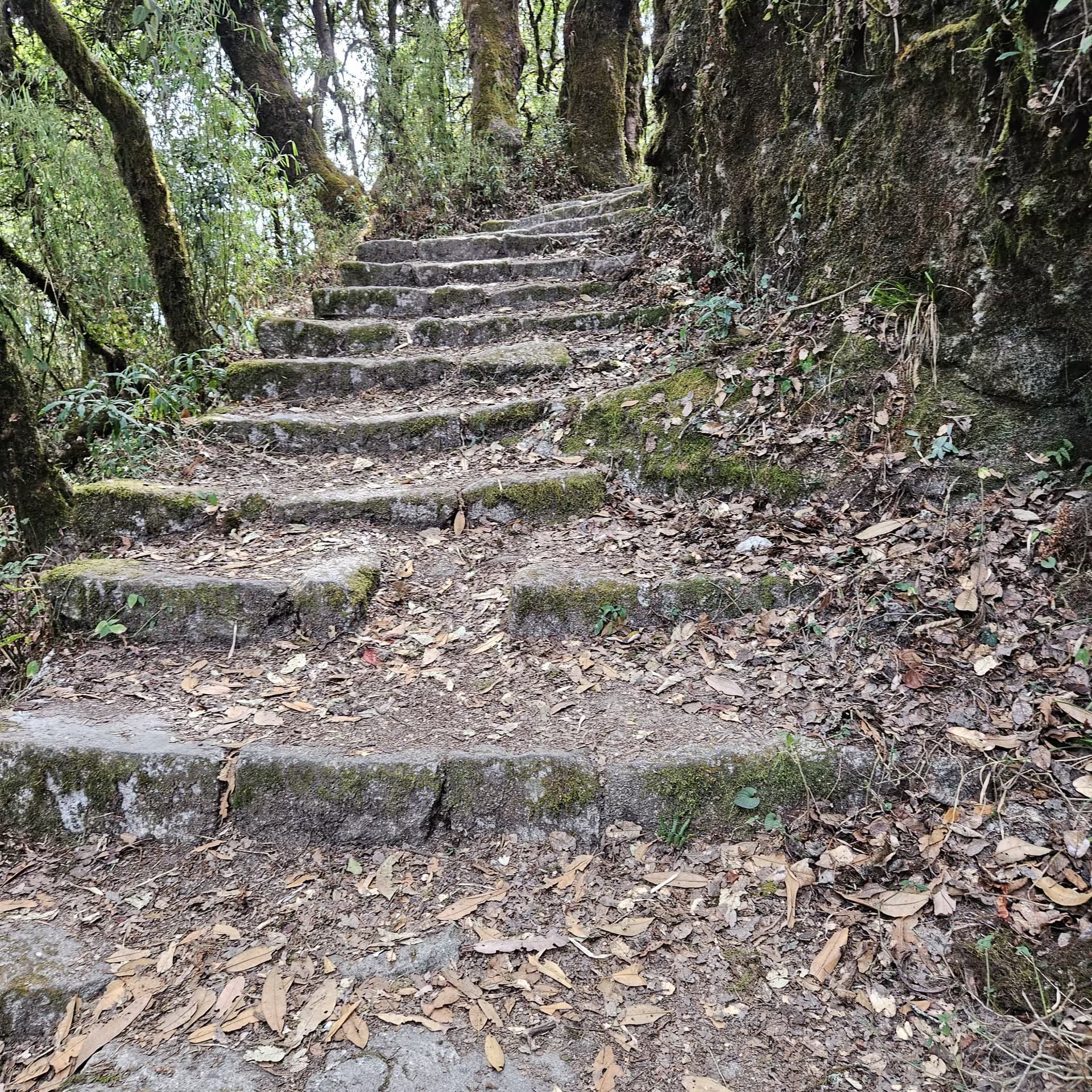 Shivapuri Peak