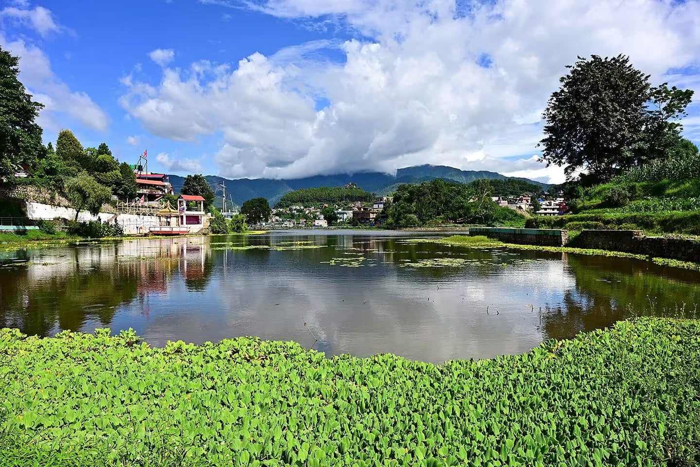 Nagdaha