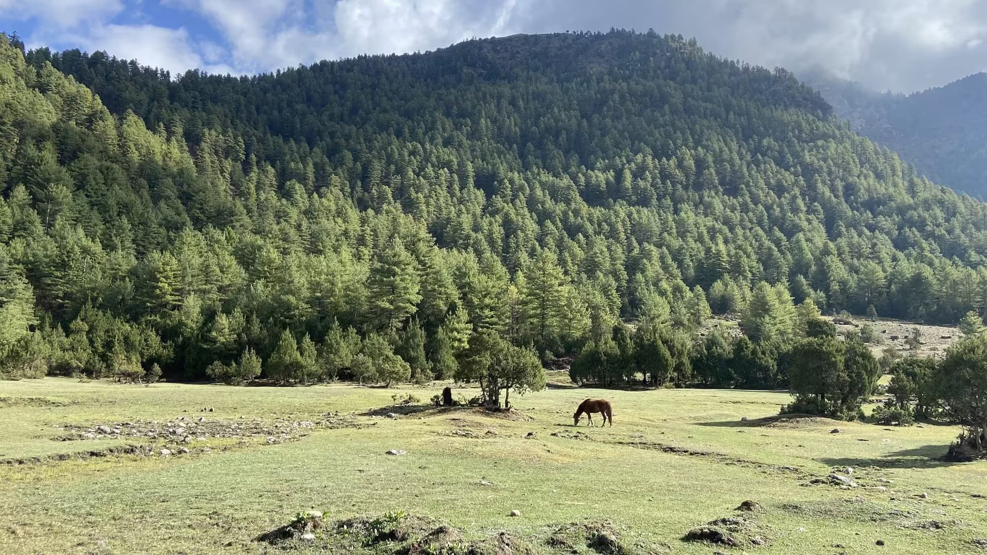Dhorpatan Hunting Reserve