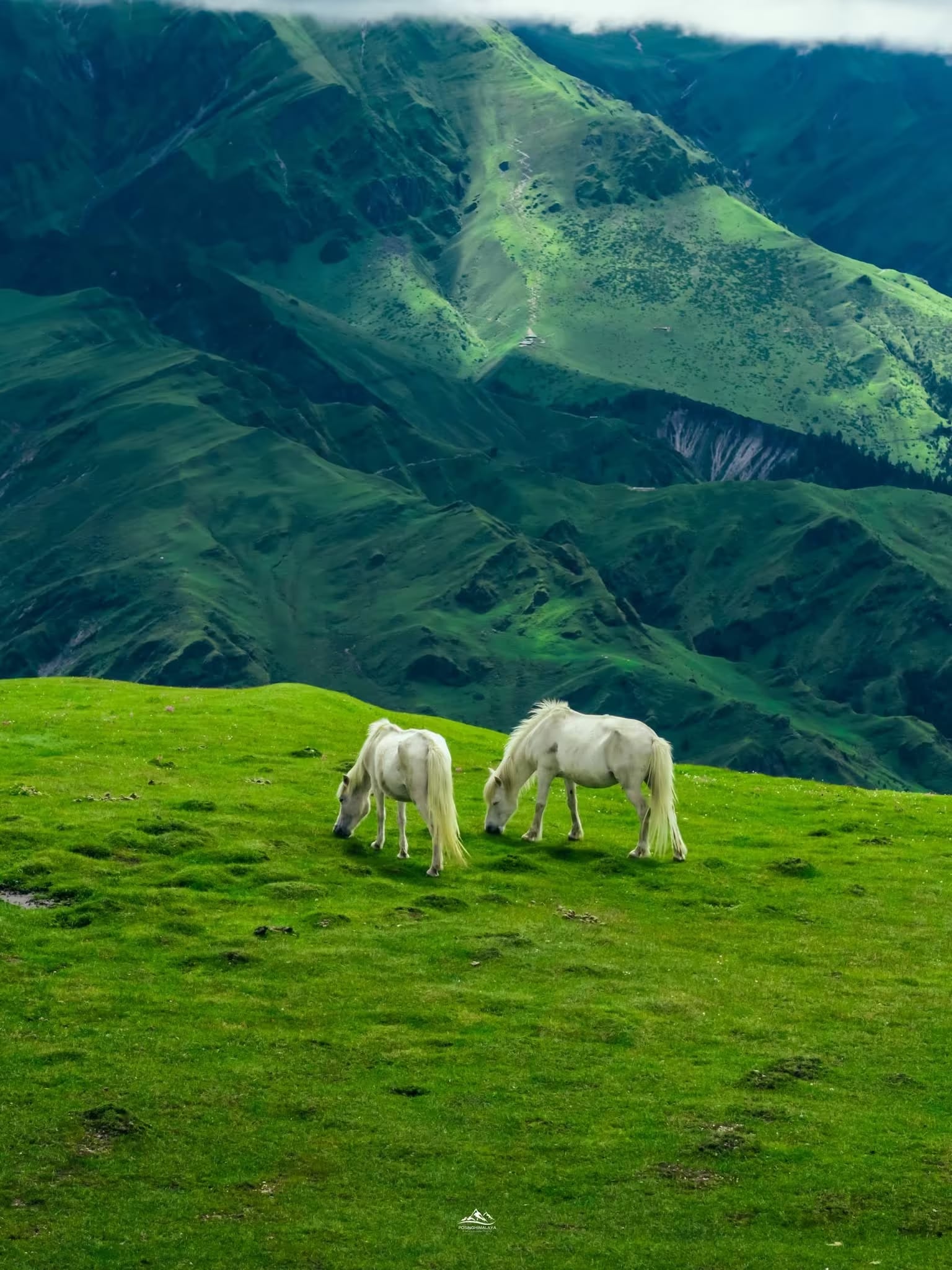 Dhorpatan Hunting Reserve