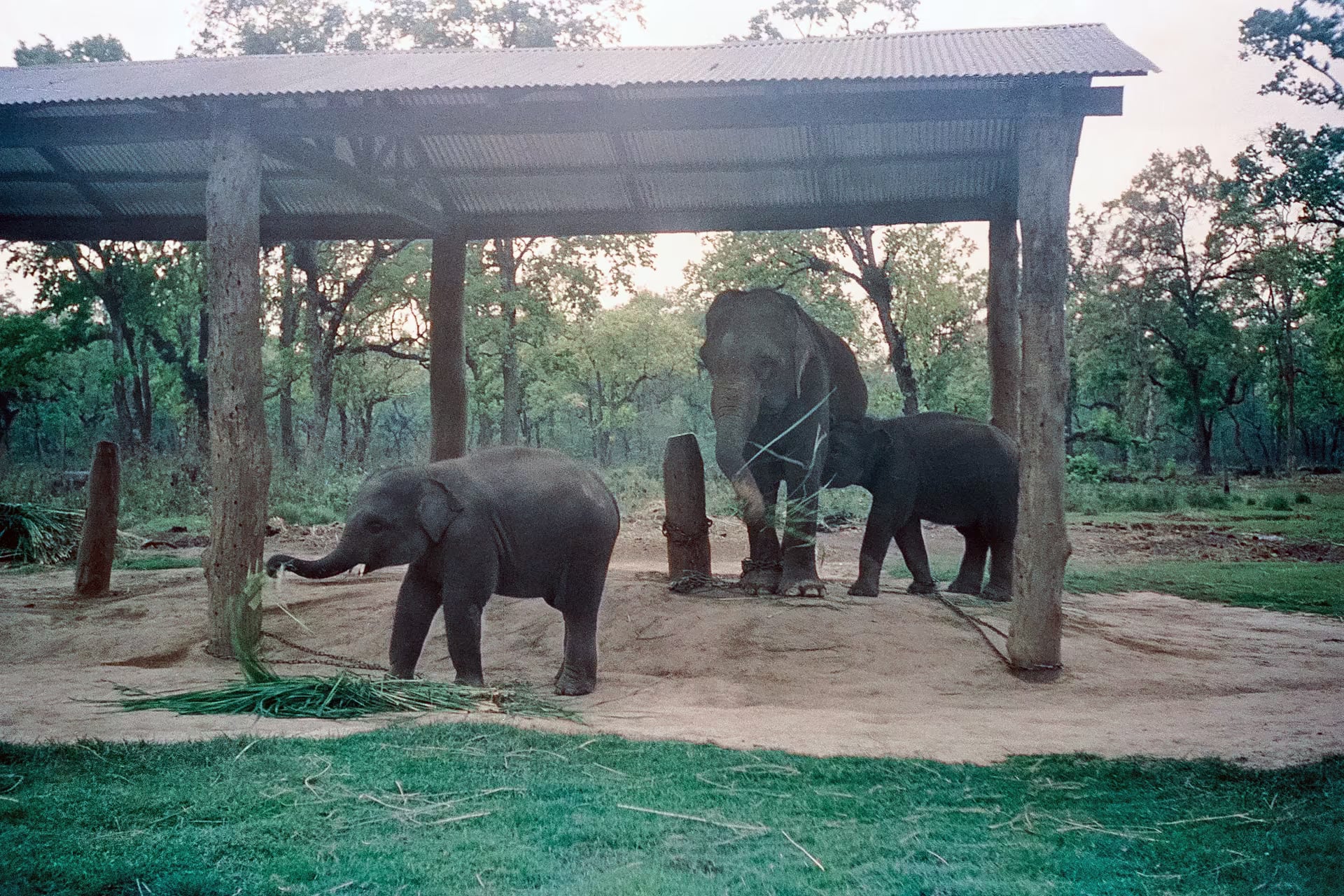 Parsa National Park