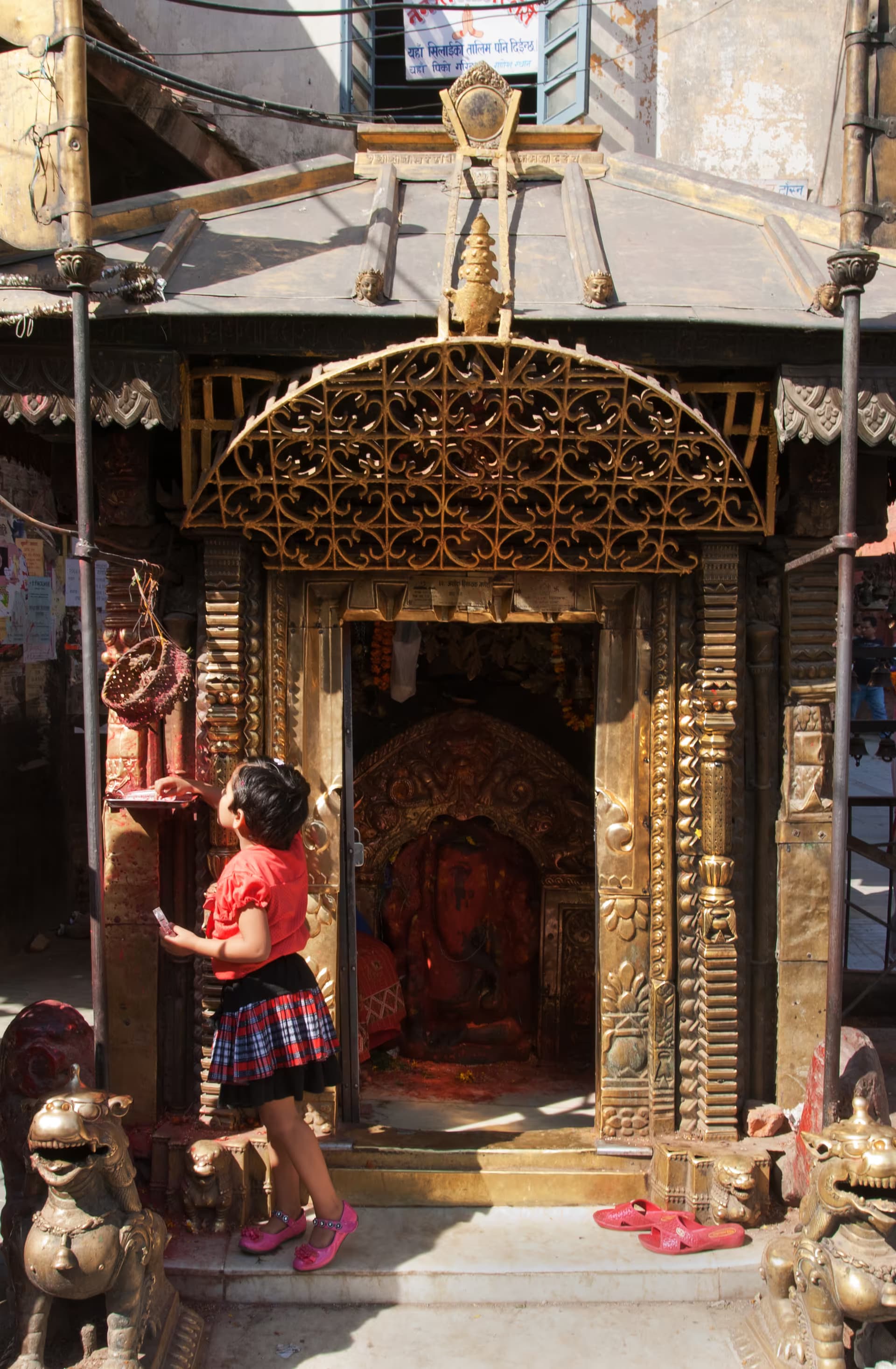 Ashok Binayak