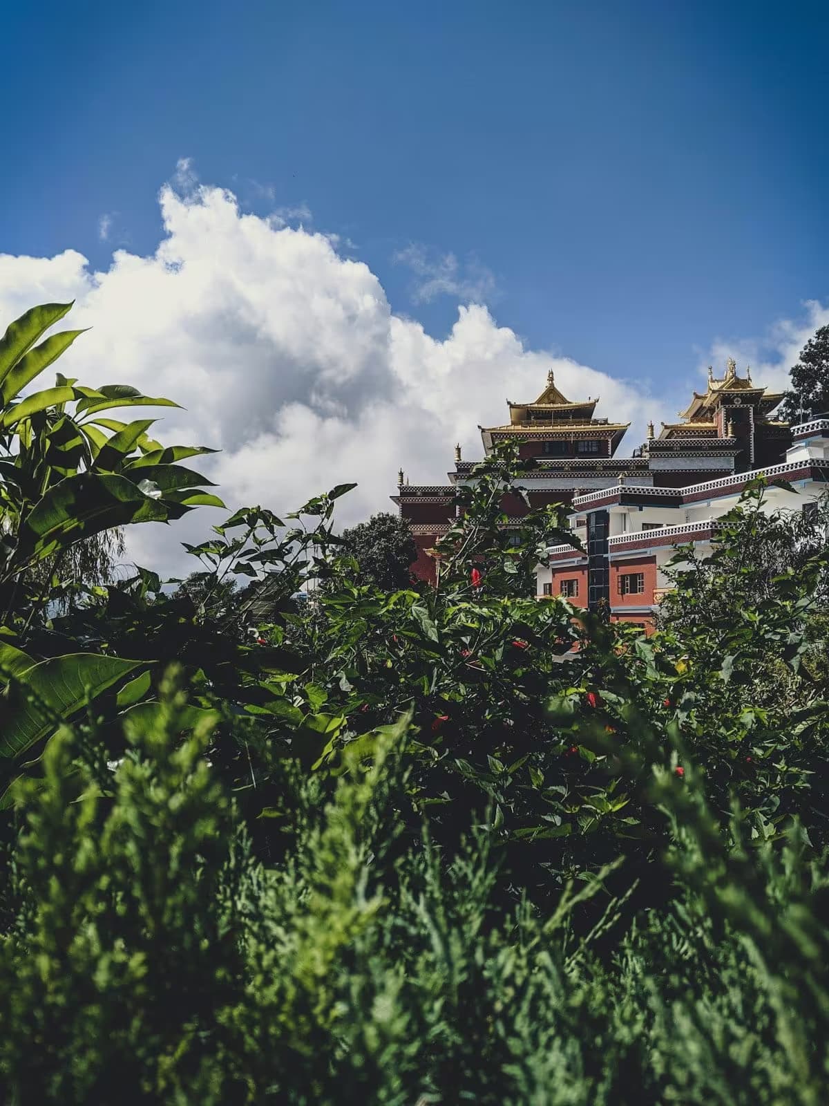 Namo Buddha from Dhulikhel