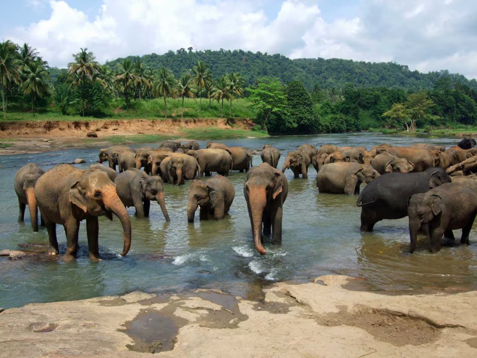 Sri Lanka in Four Days: Kandy, Bentota and Colombo